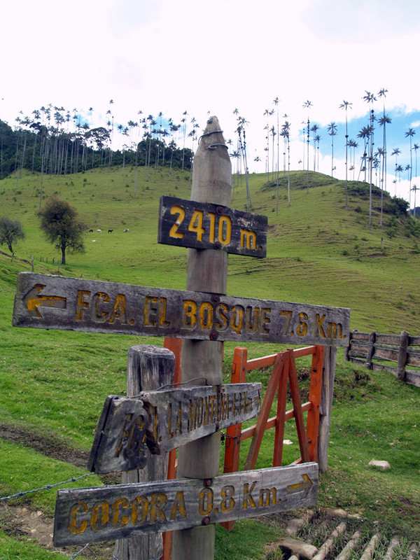 Долина Кокора на западе в Колумбии. Фото 9 – фотографии Колумбии