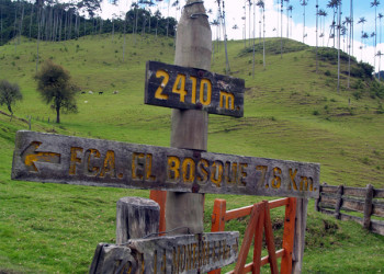 Долина Кокора на западе в Колумбии. Фото 9 – фотографии Колумбии