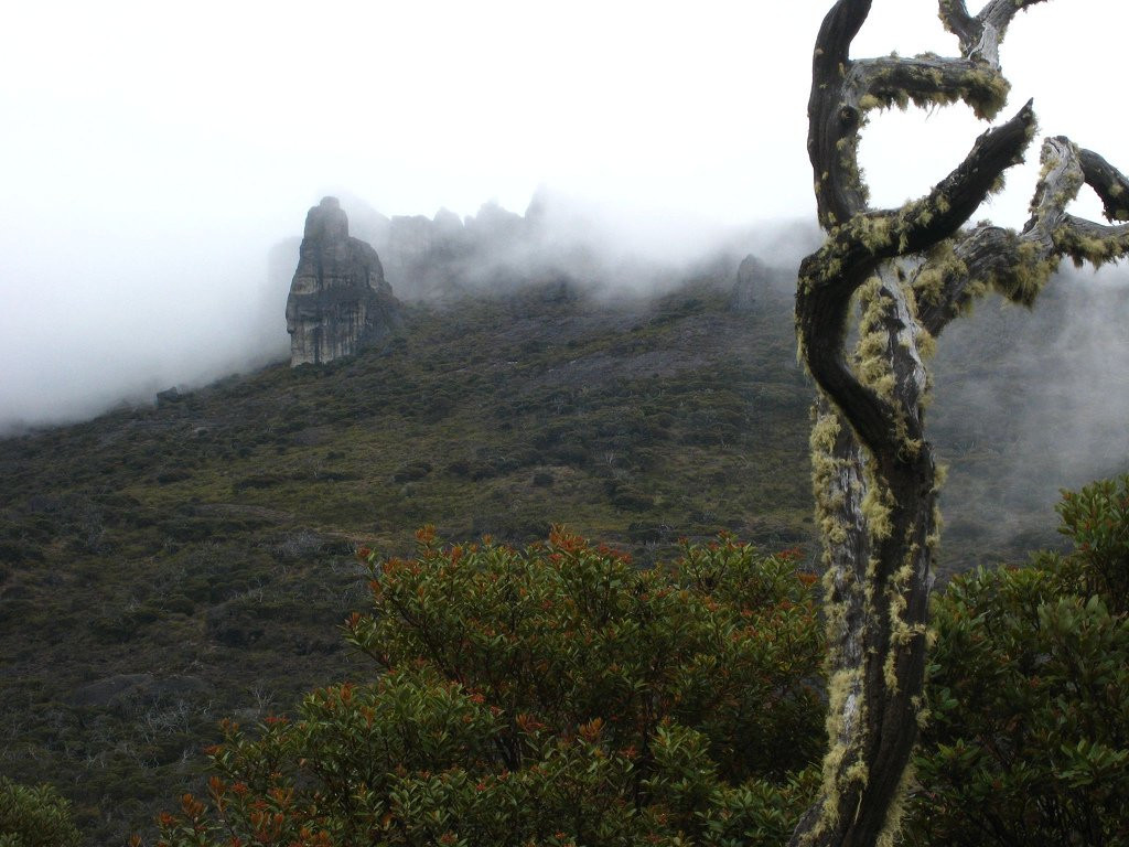 Чиррипо Национальный Парк, Сан Хосе провинция, Коста-Рика, фото № 41243 – фотографии Коста-Рики