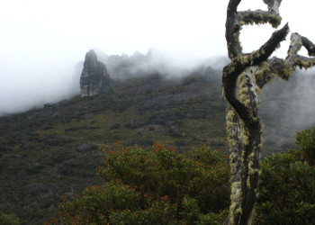 Чиррипо Национальный Парк, Сан Хосе провинция, Коста-Рика, фото № 41243 – фотографии Коста-Рики