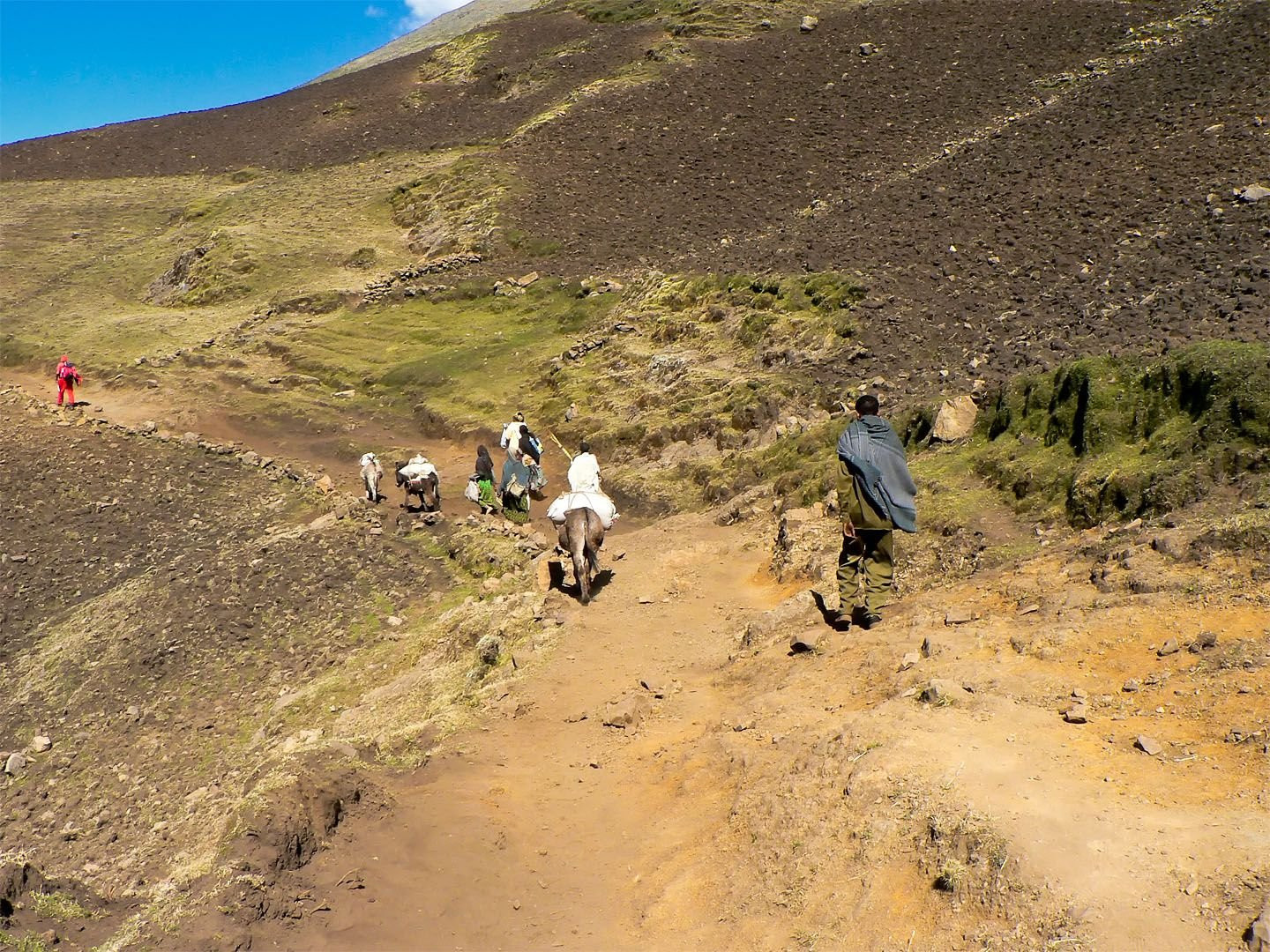 Эфиопское нагорье, Эфиопия. Фото 3 – фотографии Эфиопии