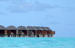 Отели в Южный Мале Атолл, Мальдивы. Фото 1 – фотографии Мальдивских островов