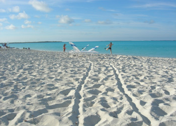 Пляж на острове Абако, Багамские острова. Фото 15 – фотографии Багамских островов