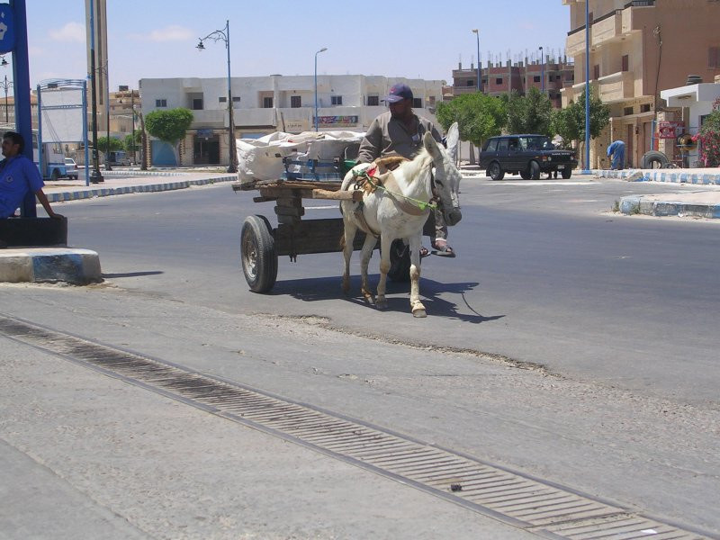 Египет, фото № 544 – фотографии Египта