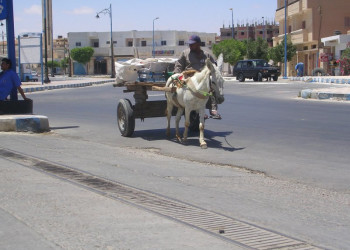 Египет, фото № 544 – фотографии Египта