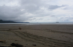 Плайя Увита, Пунтаренас провинция, Коста-Рика, фото № 40981 – фотографии Коста-Рики