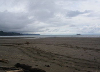 Плайя Увита, Пунтаренас провинция, Коста-Рика, фото № 40981 – фотографии Коста-Рики