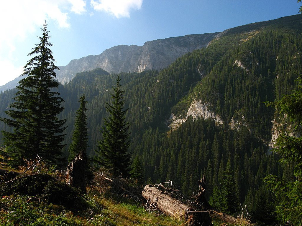 Природа Национального парка, Черногория. Фото 9 – фотографии Черногории