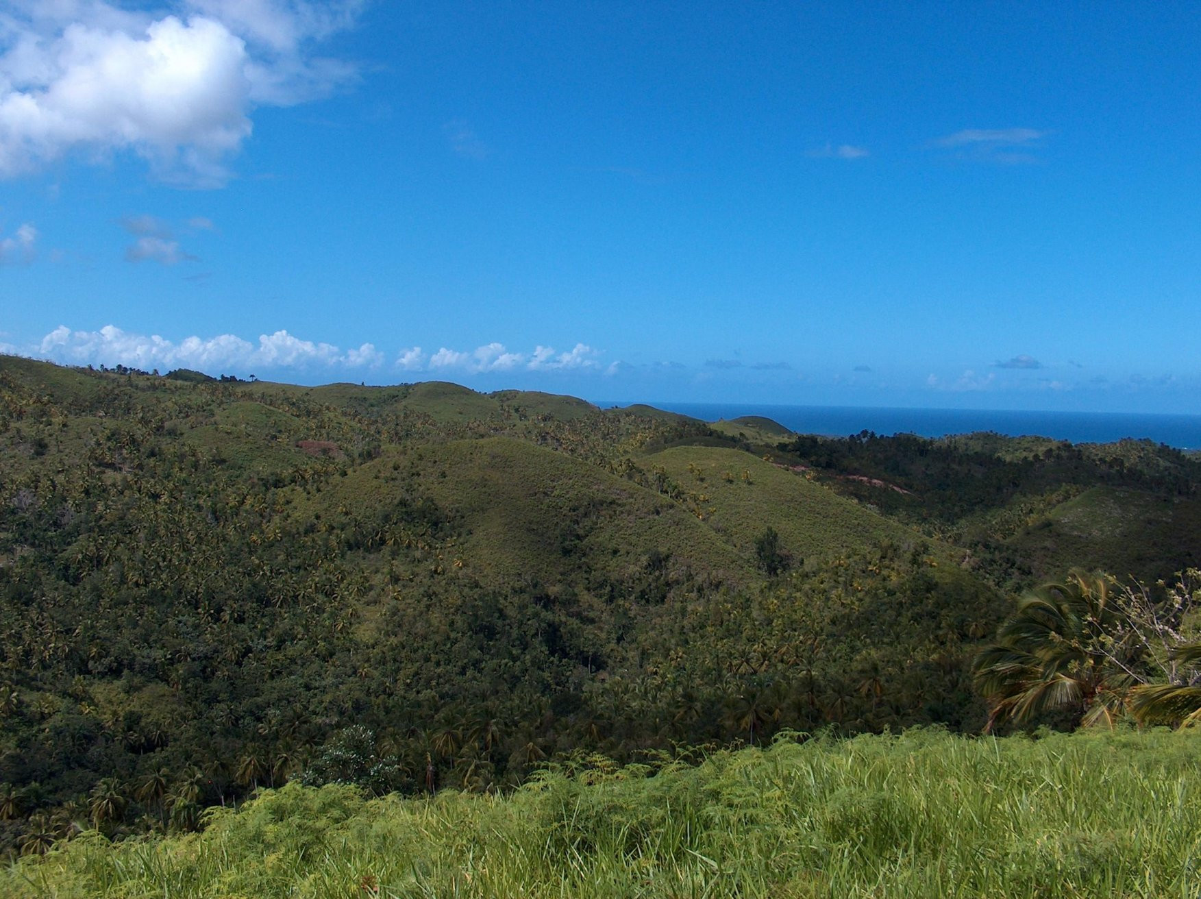 Самана, Доминикана, фото № 30643 – фотографии Доминиканы