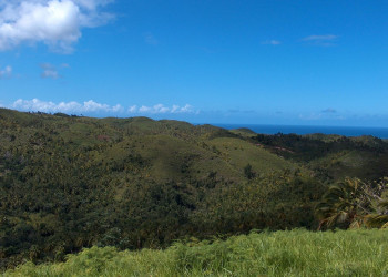 Самана, Доминикана, фото № 30643 – фотографии Доминиканы