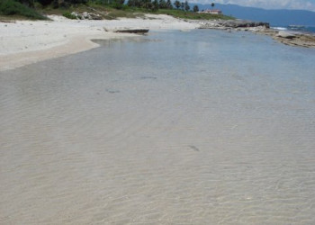 Бараона, Доминикана, фото № 30302 – фотографии Доминиканы