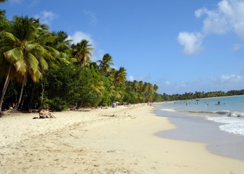 Пляж Лес-Салинес (Les Salines) – фотографии Мартиники