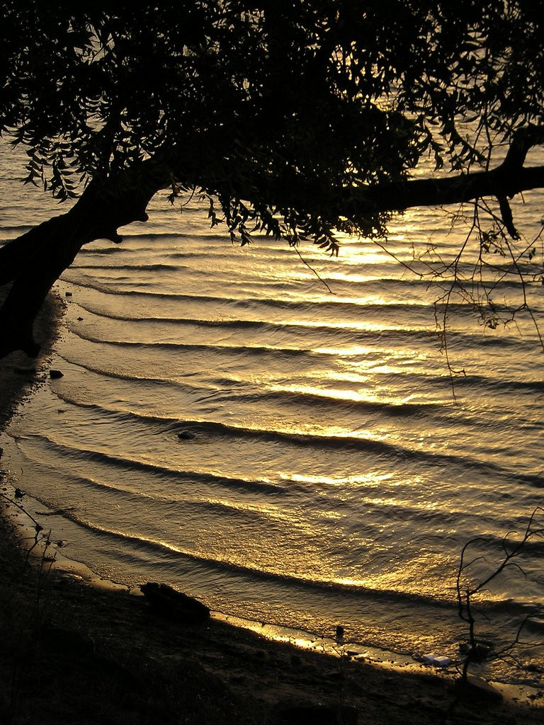 Полоннарува, Шри-Ланка, фото № 52166 – фотографии Шри-Ланки