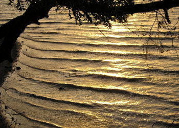 Полоннарува, Шри-Ланка, фото № 52166 – фотографии Шри-Ланки