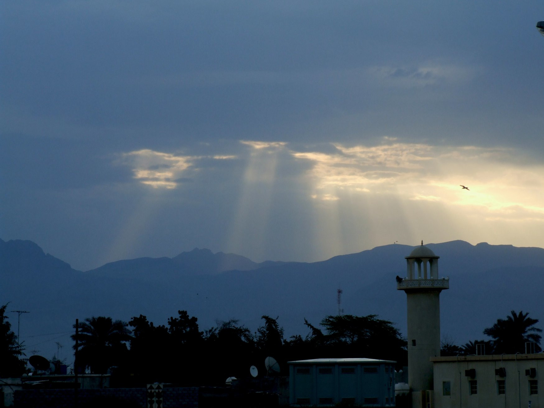 Рас-аль-Хайма, ОАЭ, фото № 61035 – фотографии ОАЭ