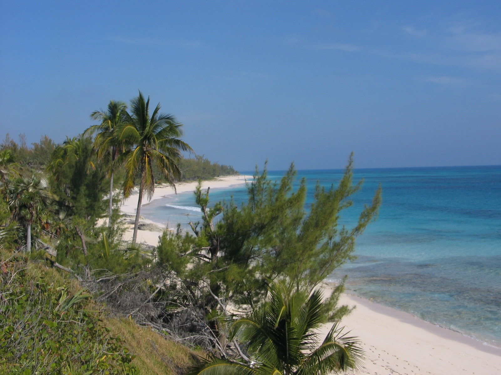 Пляж на острове Эльютера, Багамские острова. Фото 40 – фотографии Багамских островов