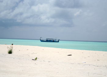 Северный Ари атолл, Ари атолл, Мальдивы, фото № 76863 – фотографии Мальдивских островов