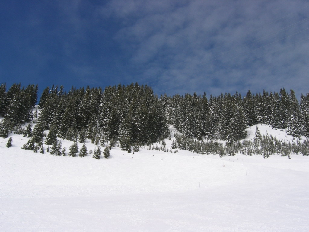 Природа в Флэйн, Франция – фотографии Франции