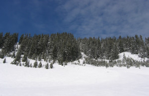 Природа в Флэйн, Франция – фотографии Франции