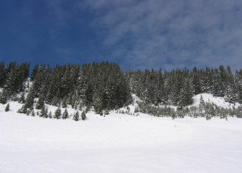 Природа в Флэйн, Франция – фотографии Франции