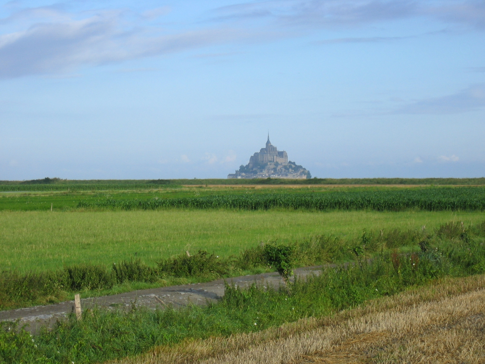 Поле в Мон-Сен-Мишель, Франция – фотографии Франции