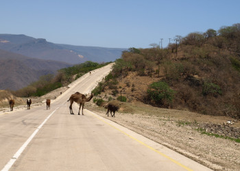 Оман, фото № 5212 – фотографии Омана