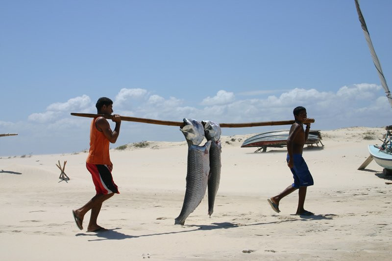 Paracuru – фотографии Бразилии