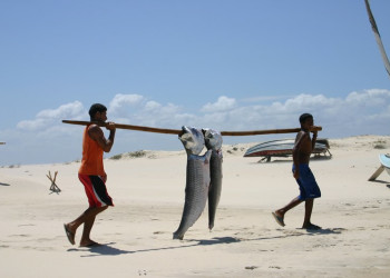 Paracuru – фотографии Бразилии