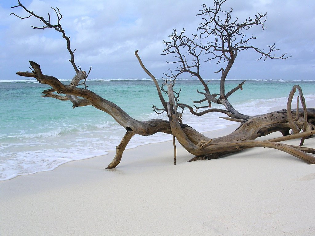 Пляж на острове Бёрд. Фото 3 – фотографии Сейшельских островов