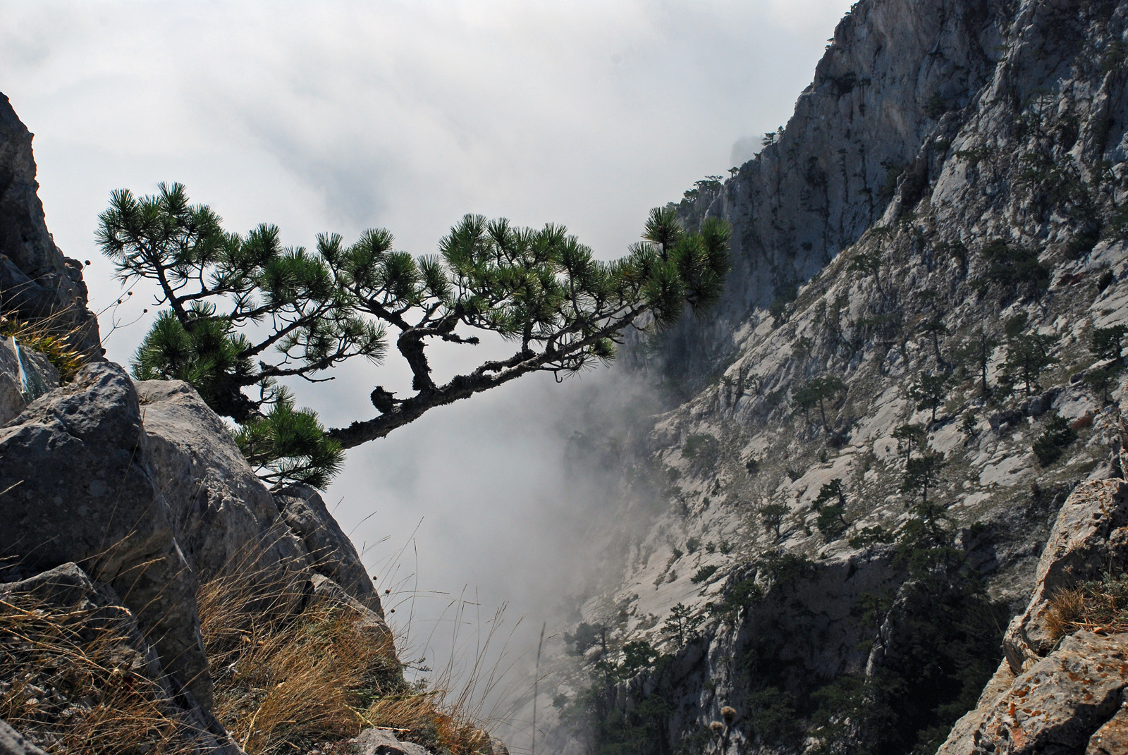 Ай-Петри, Крым. Фото 4 – фотографии России