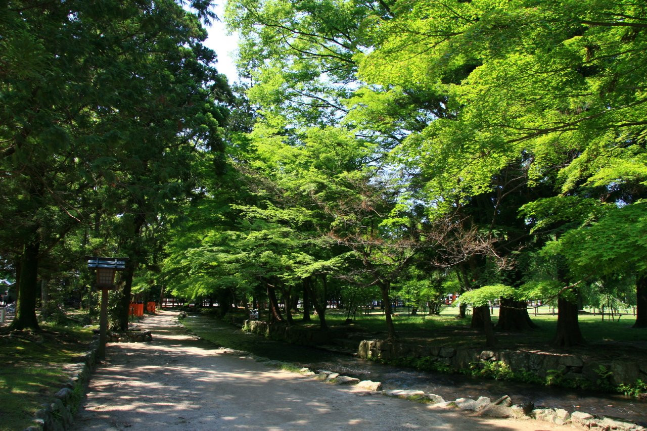 Киото, Кансай регион, Япония, фото № 72113 – фотографии Японии