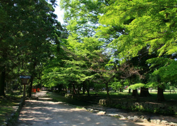 Киото, Кансай регион, Япония, фото № 72113 – фотографии Японии