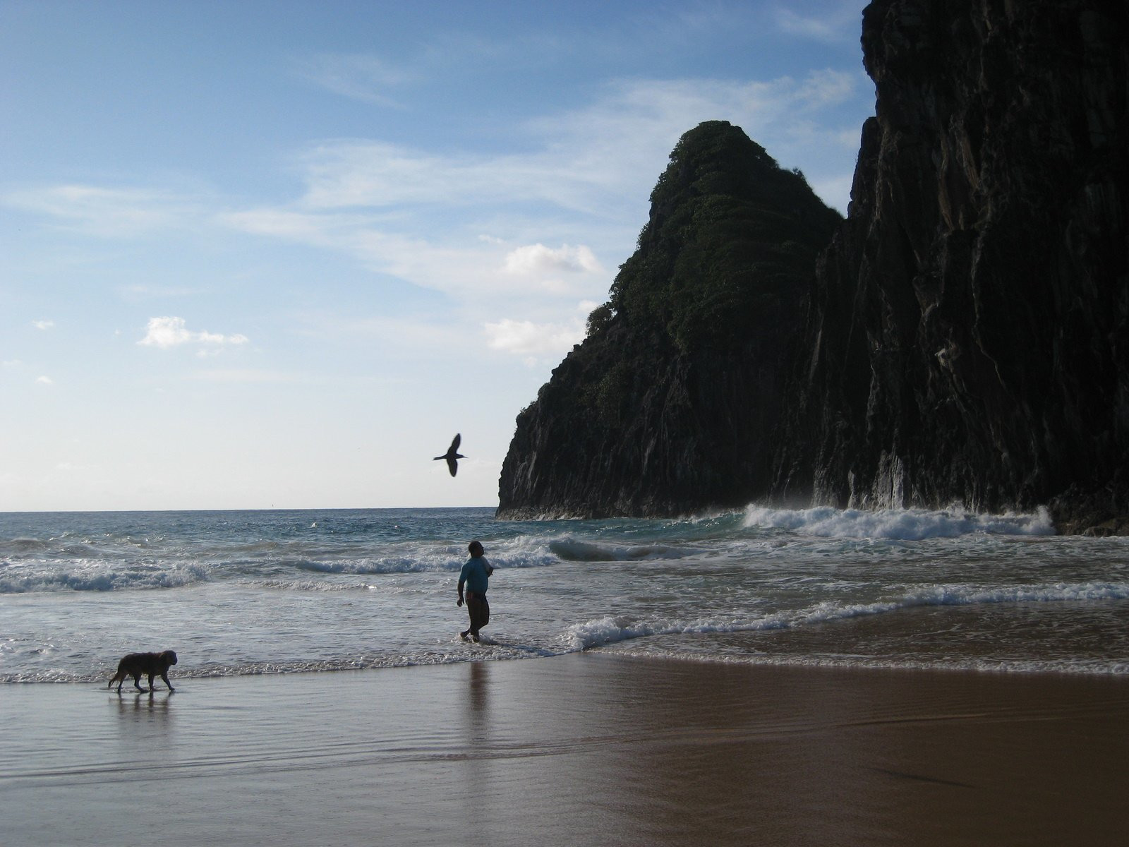 Фернанду-ди-Норонья, Бразилия, фото № 60467 – фотографии Бразилии