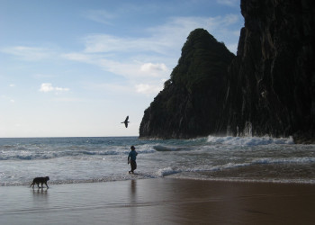 Фернанду-ди-Норонья, Бразилия, фото № 60467 – фотографии Бразилии