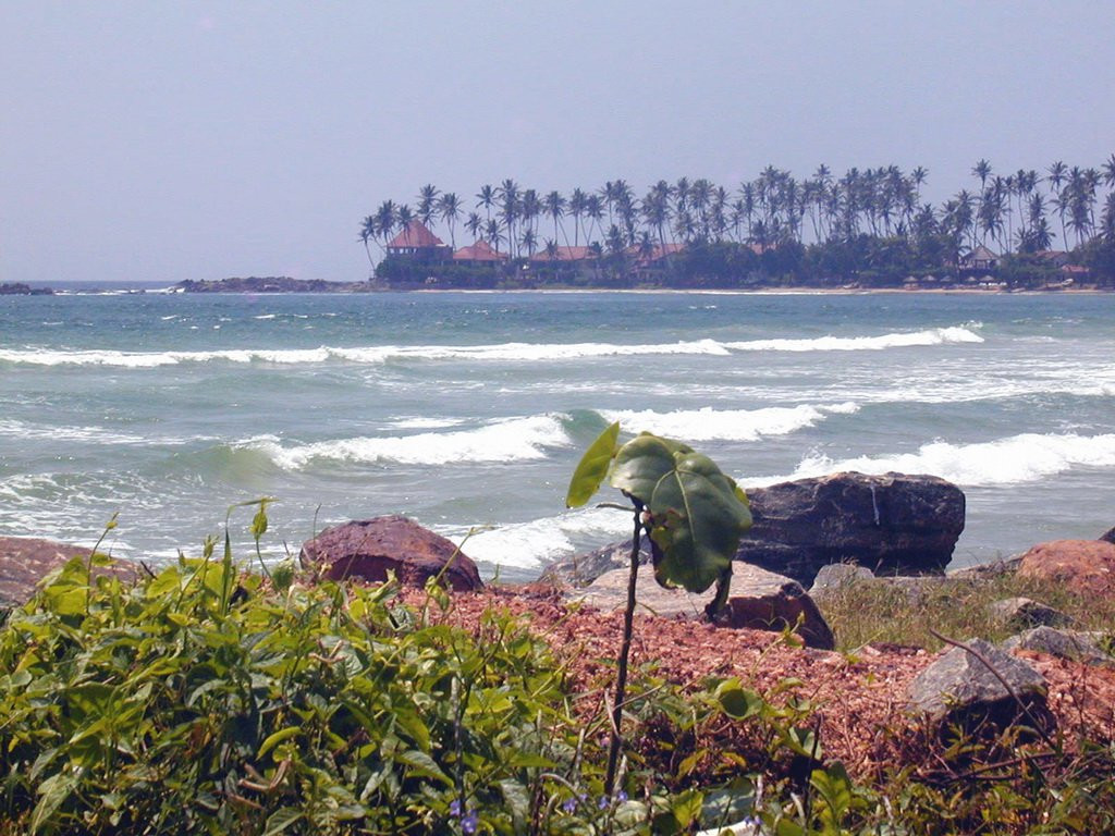 Диквелла, Шри-Ланка, фото № 51148 – фотографии Шри-Ланки