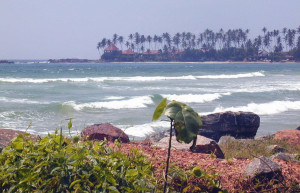 Диквелла, Шри-Ланка, фото № 51148 – фотографии Шри-Ланки