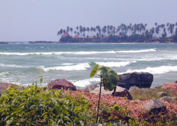 Диквелла, Шри-Ланка, фото № 51148 – фотографии Шри-Ланки