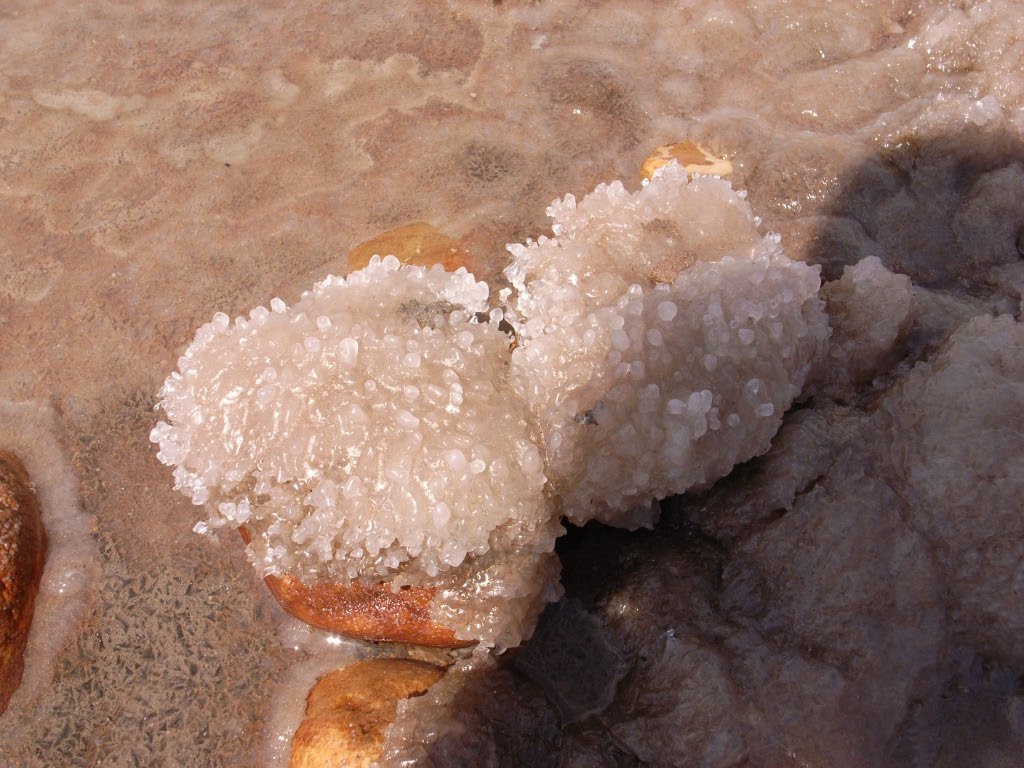 Мертвое море в Иордании, соль – фотографии Иордании