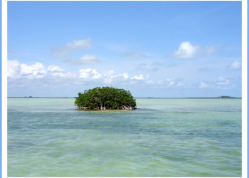 Мексика, фото № 1017 – фотографии Мексики