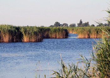 Национальный парк Нойзидлерзе-Зевинкель (Neusiedlersee-Seewinkel) – фотографии Австрии