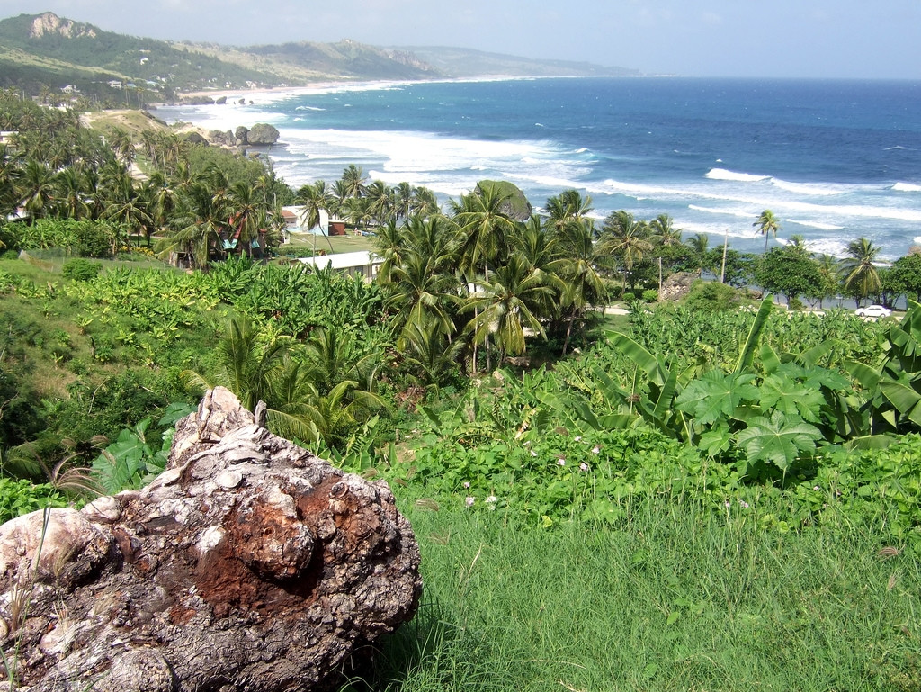 Природа на острове  Батшиба, Барбадос. Фото 4 – фотографии Барбадоса