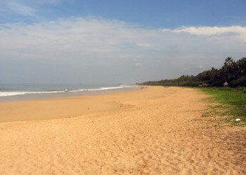 Бентота, Шри-Ланка, фото № 50597 – фотографии Шри-Ланки