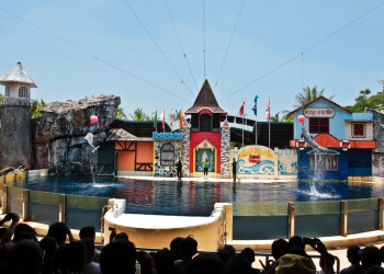 Сафари Ворлд (Safari World) – фотографии Камбоджи