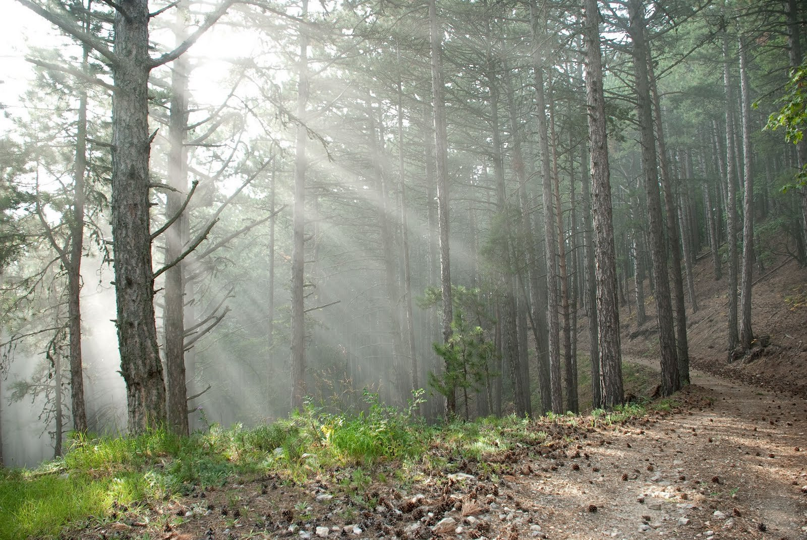 Украина, фото № 3973 – фотографии Украины