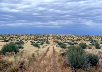 Намибия, фото № 5725 – фотографии Намибии