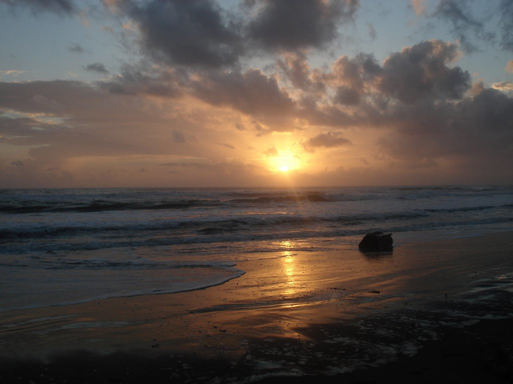 Тортугеро, Лимон провинция, Коста-Рика, фото № 40292 – фотографии Коста-Рики