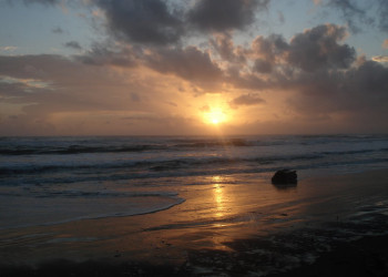 Тортугеро, Лимон провинция, Коста-Рика, фото № 40292 – фотографии Коста-Рики