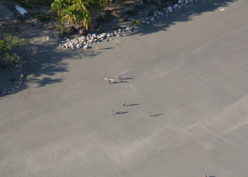 Самара, Гуанакасте провинция, Коста-Рика, фото № 39917 – фотографии Коста-Рики