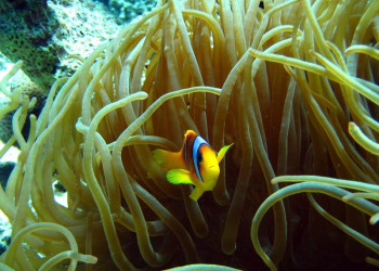 Марса-Алам, Египет, фото № 35346 – фотографии Египта