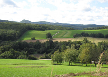 Природа в Венском лесу – фотографии Австрии